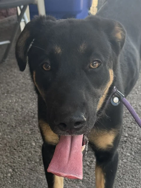 Nora