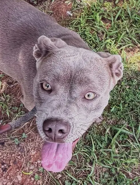 Mitzie image 2