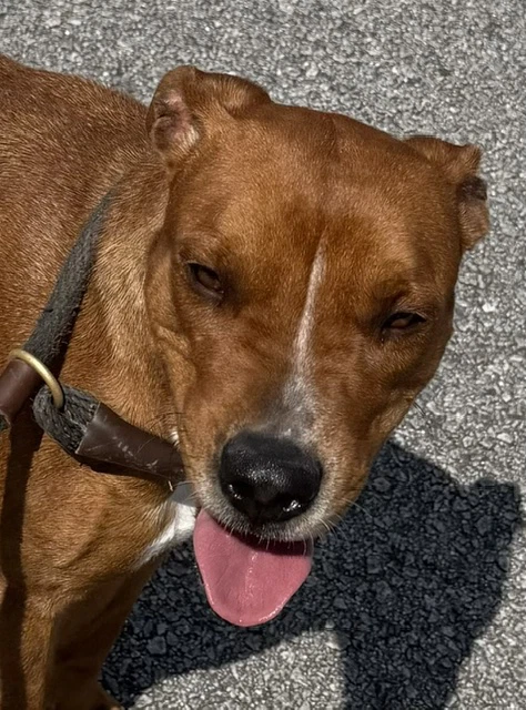 Kami