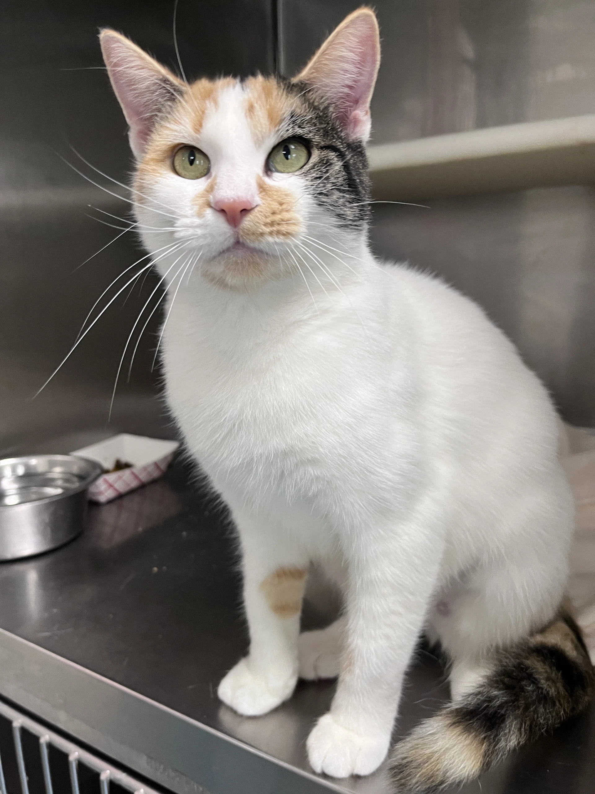 Della