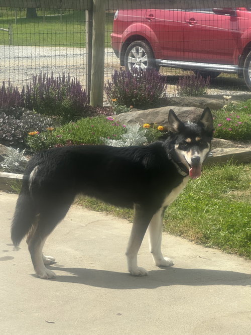 Kira