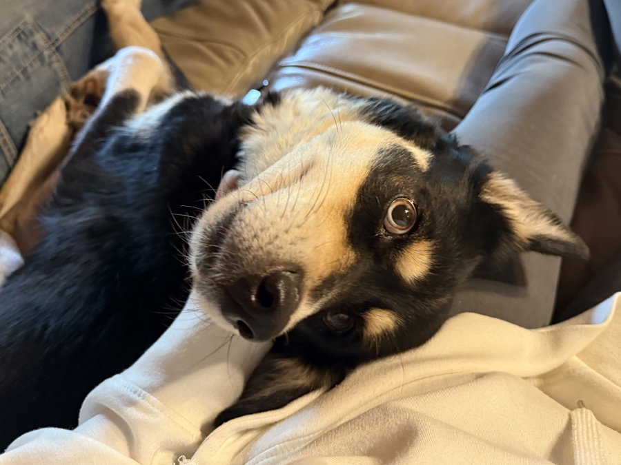 Kira