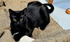 Winnie - Photo 1