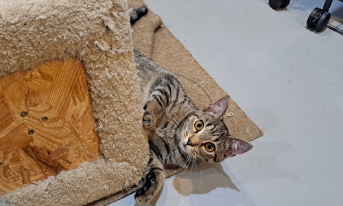 Photo 4 of Lucky