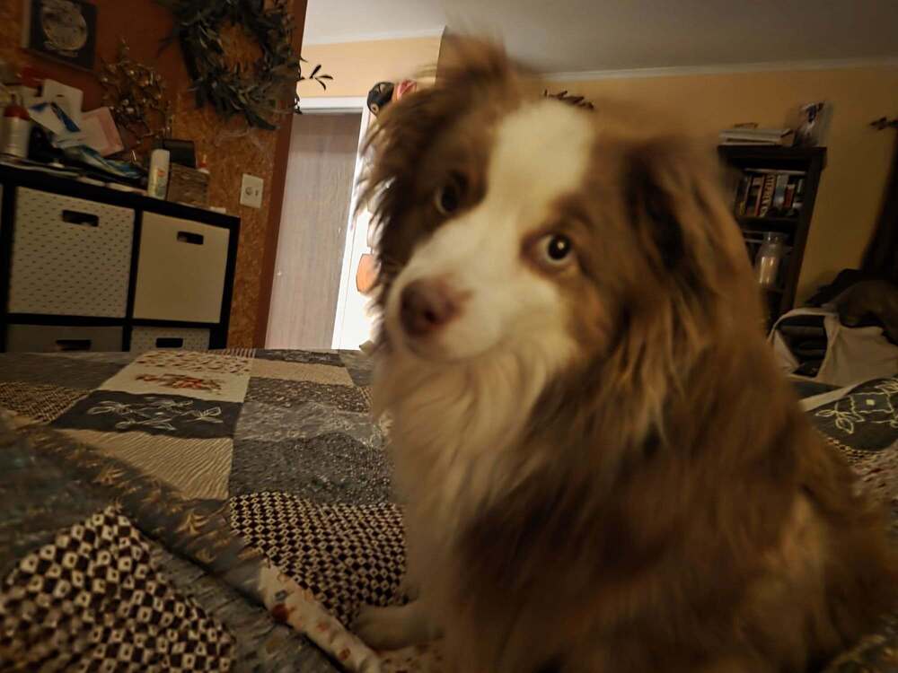 Audrey