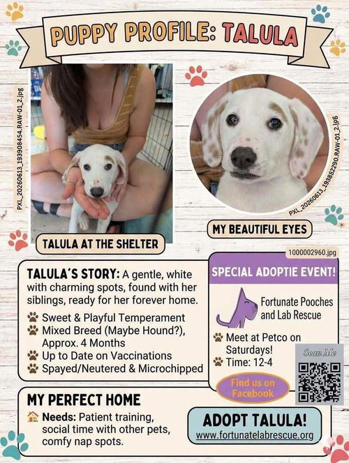 talula