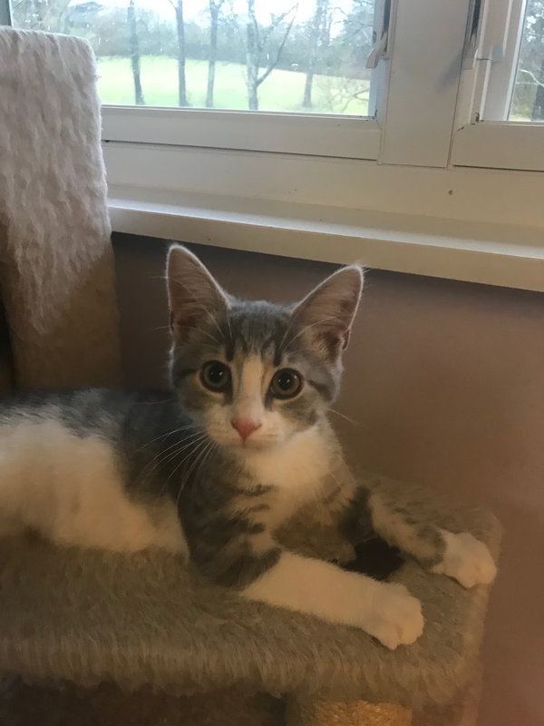 Leo