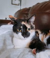 zz "Yuki" courtesy listing - Photo 2