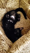 Bree - Photo 7