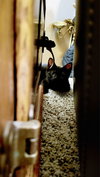 Bree - Photo 9
