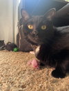 Bree - Photo 4