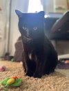 Bree - Photo 5
