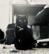 Bree - Photo 2