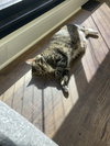 zz "Mitzie" courtesy listing - Photo 2