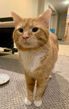 zz "Ziggy" courtesy listing - Photo 4