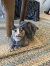 My Sharona - Photo 6