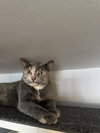 My Sharona - Photo 8