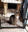 Roscoe - Photo 4