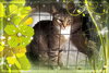 Roscoe - Photo 3