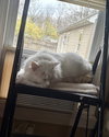 zz "Casper" courtesy listing - Photo 2