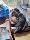 zz "Itsy Bitsy" courtesy listing - Photo 2