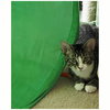 Scooter - Photo 6