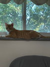 Scamper - Photo 5