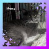 Mercy - Photo 1