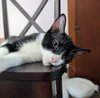 Zero - Photo 4