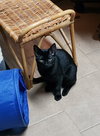 Imani - Photo 4