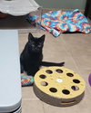 Imani - Photo 5