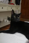 Imani - Photo 3