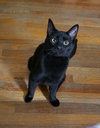 Imani - Photo 2