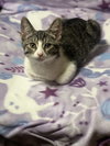 zz "Lady Bug" courtesy listing - Photo 4