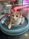 Eggbert - Photo 4