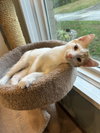 Eggbert - Photo 2