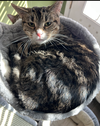 COCO - Photo 1