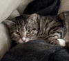 COCO - Photo 3