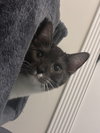 Wally - Photo 1