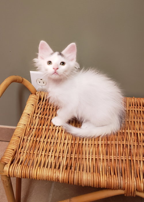 Photo of Bedhead