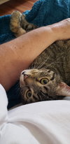 Shaggy - Photo 1