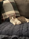 Charlles - Photo 2