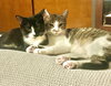 Charlles - Photo 4