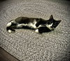 Mabell - Photo 2