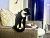 Mabell - Photo 1