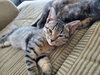 Ruthie - Photo 3