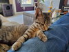 Ruthie - Photo 4