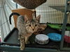 Ruthie - Photo 2