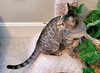Ruthie - Photo 1