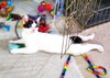 Special - Photo 2